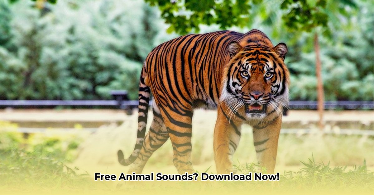 animal-tone-download